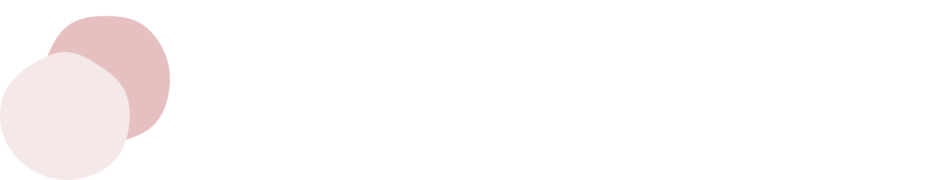 Salome Partner【サロミースペース】